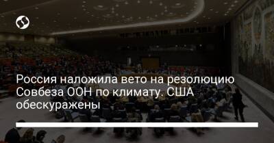 Россия наложила вето на резолюцию Совбеза ООН по климату. США обескуражены