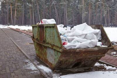 Баки и контейнеры с мусором в Петербурге появятся на интерактивной карте