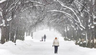 Мощный снегопад обрушил на Москву 20% месячной нормы осадков