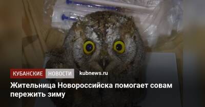 Жительница Новороссийска помогает совам пережить зиму