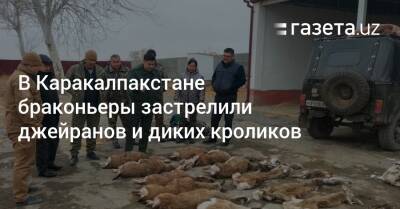 В Каракалпакстане браконьеры застрелили джейранов и диких кроликов