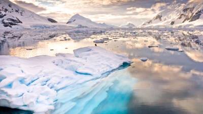 На «Леднике Судного дня» в Антарктиде появилась крупная трещина