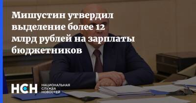 Мишустин утвердил выделение более 12 млрд рублей на зарплаты бюджетников