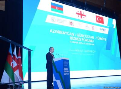 Инвестиции Турции в Азербайджан превысили $19 млрд - Микаил Джаббаров