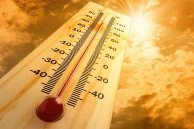 Температура 38 градусов, зафиксированная в Верхоянске, признана рекордной