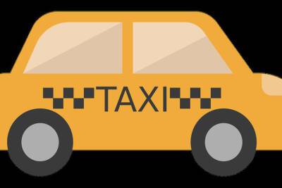 Туляки жалуются в Роспотребнадзор на услуги каршеринга и такси