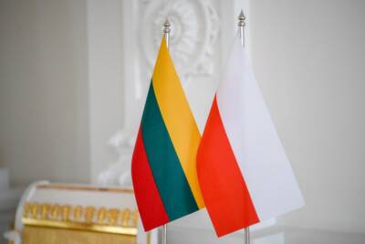 Президенты Литвы и Польши собираются посетить Украину