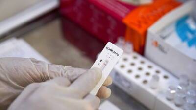 Попова заявила, что суточный охват тестирования на коронавирус в России вырос в три раза
