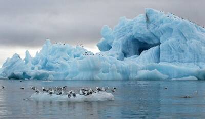 ООН зафиксировала рекордную жару в Арктике