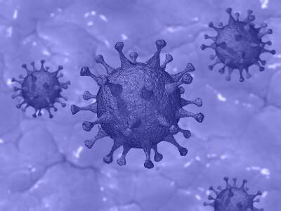 Доктор Мясников: Эпидемия птичьего гриппа может быть опаснее пандемии COVID-19