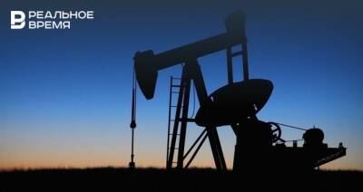 МЭА: в 2022 году мировая добыча нефти может увеличиться на 6,4 млн баррелей в сутки