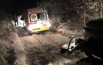 Непогода в Украине: повалены деревья, авто застряли в сугробах