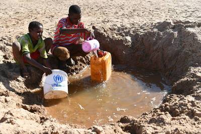 Сомали охватила сильнейшая за 40 лет засуха