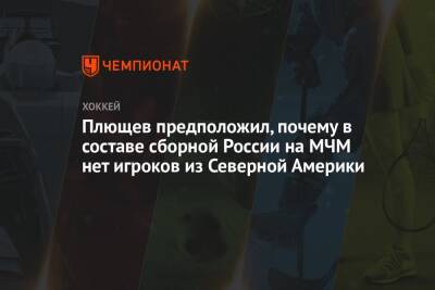 Плющев предположил, почему в составе сборной России на МЧМ нет игроков из Северной Америки