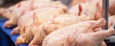 В России могут вырасти цены на мясо птицы