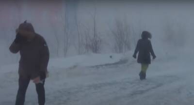 "Полметра и даже больше": украинцев предупредили о мощнейших снегопадах, названа дата