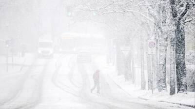 Десятки тысяч человек в Сербии остались без электричества из-за мощного снегопада