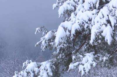 Замело горами снега: в ГСЧС объявили третий уровень опасности из-за сильных снегопадов