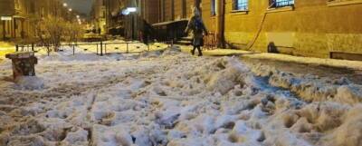 Пенсионерка Нина Балагурова напомнила властям Петербурга, что снег на улицах убирали даже в блокаду