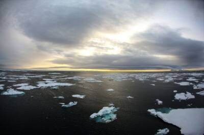 СМИ: радионуклиды с «Фукусимы-1» достигли Северного Ледовитого океана