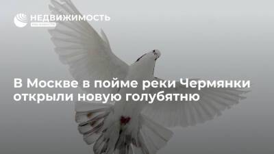 В Москве в пойме реки Чермянки открыли новую голубятню