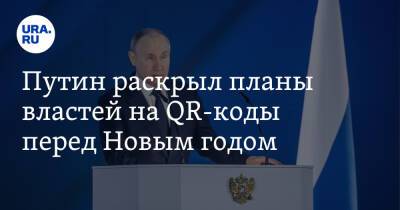 Путин раскрыл планы властей на QR-коды перед Новым годом