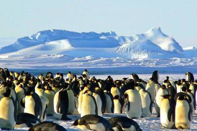 Ученые: Антарктиду ждет природная катастрофа планетарного масштаба