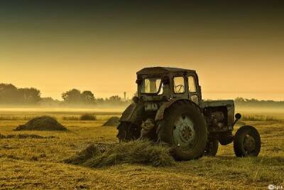 Три на тысячу гектаров: Счётная палата сосчитала трактора в российском АПК