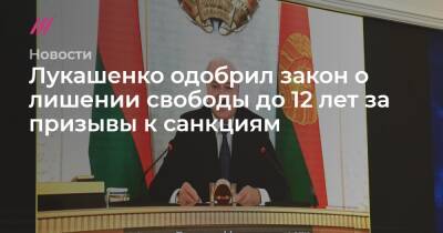 Лукашенко одобрил закон о лишении свободы до 12 лет за призывы к санкциям
