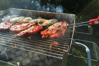 Шашлык и барбекю: почему учёные считают мясо, сделанное на углях, опасным для жизни - Русская семерка