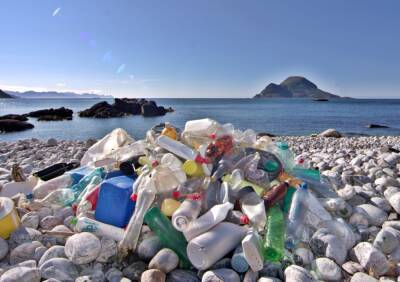 Исследование: в 2050 в океанах будет больше пластиковых отходов, чем рыбы