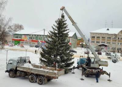 В Прилузье установили главную новогоднюю елку района