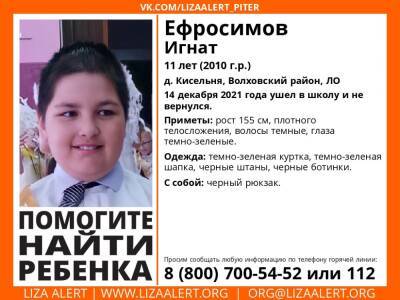 Элизабет Алерт - 11-летний ребенок в Волховском районе ушел в школу и не вернулся - ivbg.ru - Украина