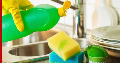 Мыть или не мыть: 7 вещей на кухне, которые нельзя чистить средством для посуды