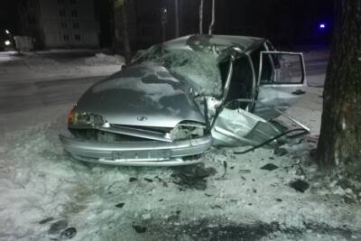 В Онеге нетрезвый мужчина разбил свой автомобиль об дерево