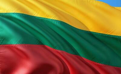 Sohu (Китай): Литва действительно умеет «прыгать выше головы». Одного оскорбления Китая ей недостаточно, и на сей раз она открыто провоцирует Россию