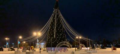 На центральной площади Петрозаводска установили елку (ФОТО)