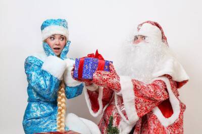 В Новосибирске назвали стоимость заказов Деда Мороза и Снегурочки