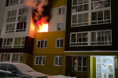 Около 50 человек эвакуированы из-за пожара в новосибирской многоэтажке