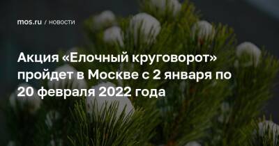 Акция «Елочный круговорот» пройдет в Москве с 2 января по 20 февраля 2022 года