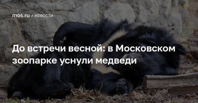 До встречи весной: в Московском зоопарке уснули медведи