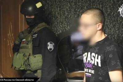 Уголовное дело завели на группировку неонацистов в Омске