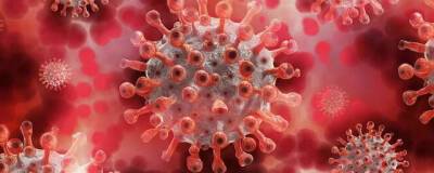 Эксперт Пол Бертон: Штаммы «омикрон» и «дельта» могут объединиться в «супервирус»