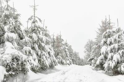 Архангельск может по уши завалить снегом