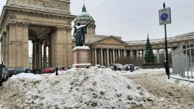 Петербурженка пристыдила коммунальщиков за неубранный снег, в котором вязнут люди с колясками