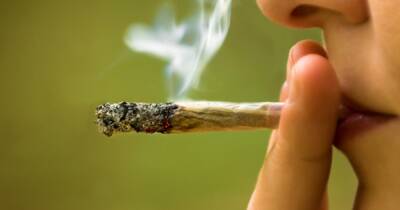 Первая страна Европы легализовала немедицинскую марихуану для личного пользования и выращивания