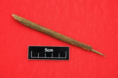 В средневековом форте найдена самая старая чернильная ручка (Фото)