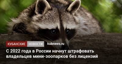 C 2022 года в России начнут штрафовать владельцев мини-зоопарков без лицензий