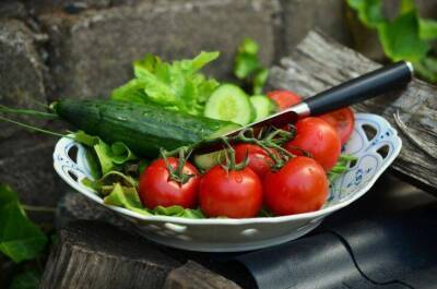 Как заметно повысить урожай томатов и огурцов: простая и эффективная подкормка