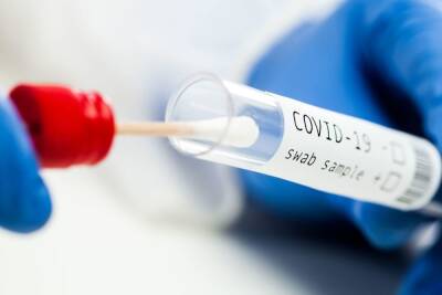 В Ленобласти с начала пандемии выявили более 96 тысяч инфицированных коронавирусом
